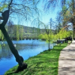 Drilon Park Pogradec